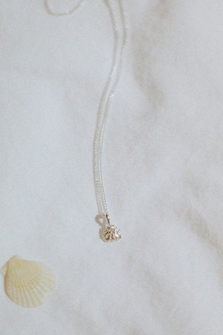 Silver shell necklace on white background next to shell. 