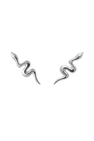 Silver snake-shaped earrings on white background. 