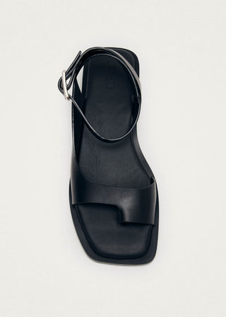 Top down view of black leather toe ring sandal with ankle strap. 
